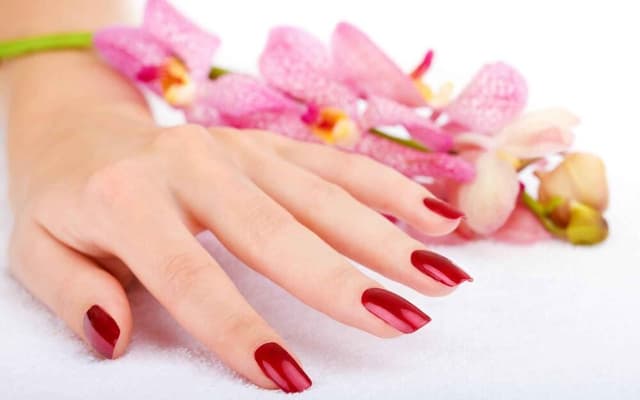 Manicure Nail Services